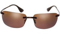 Solaires à verres polarisants Lunettes de soleil homme Ray Ban Chromance RB4255 6046B