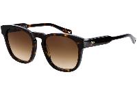 CHLOE CH0160S 002 54 Lunette de Soleil Femme